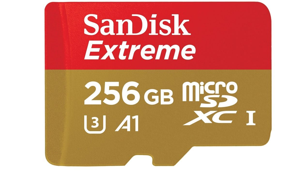 Carte Mémoire Micro SD (256 Go) Sandisk - SWI - Accessoire