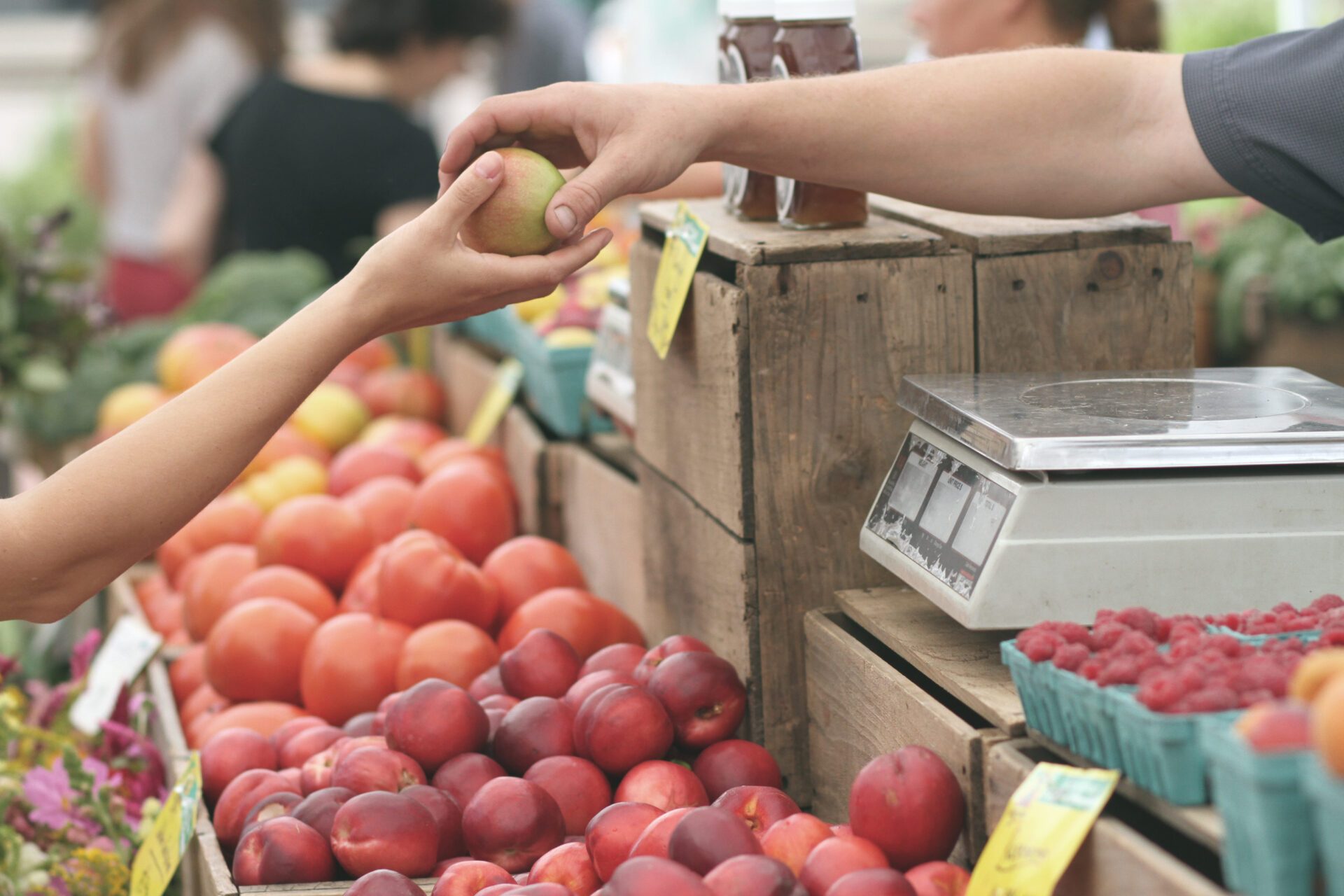 Un filtre sur instagram pour alerter sur le gaspillage alimentaire