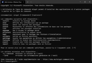 Windows 11  comment installer rapidement vos logiciels préférés