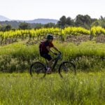 moustache vélo