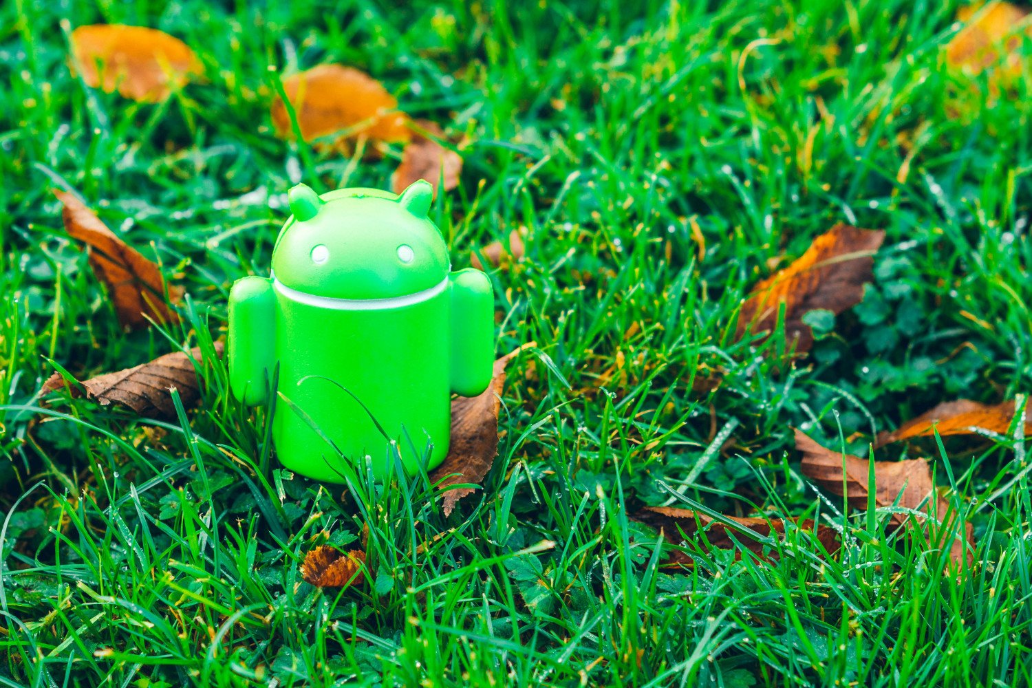 Google prépare le support des apps Linux sur Android