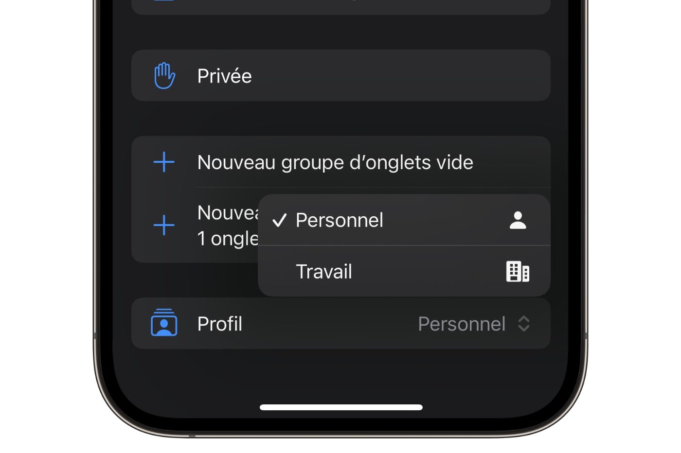 Ios 17 Profil Safari