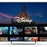 Disney+ App Smart Tv