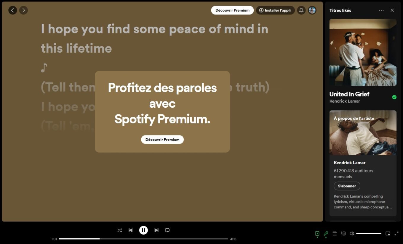 Spotify Premium 2