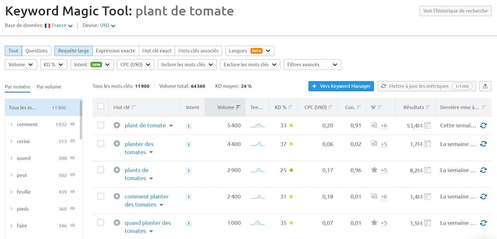 Outil Keyword Magic Tool De Semrush