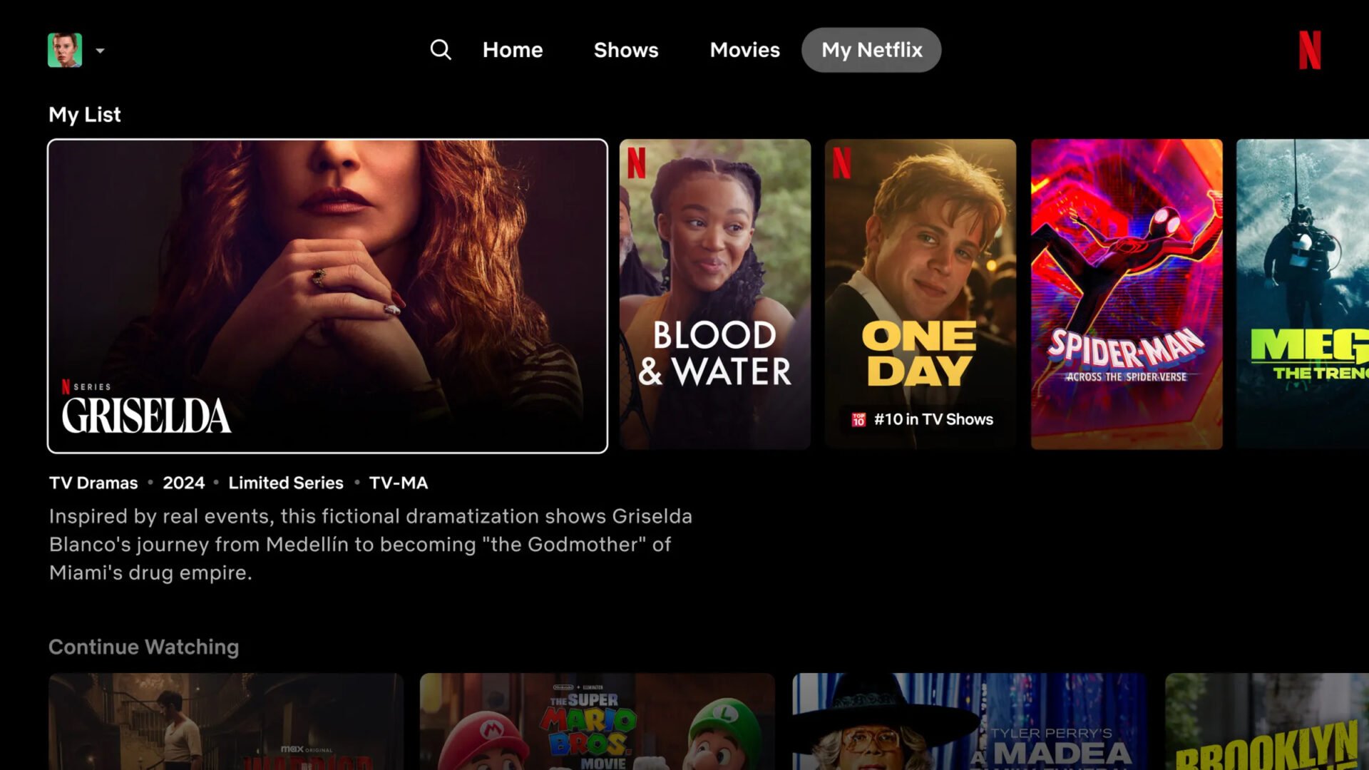 Netflix App Interface