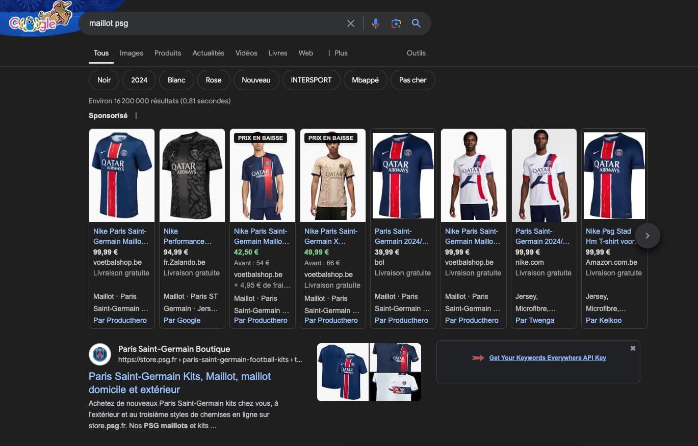 Exemple Serp Resultats Google Shopping