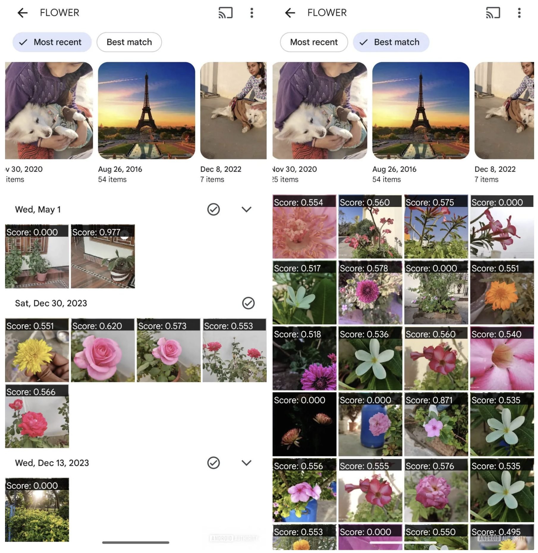 Albums Resultats Recherche Google