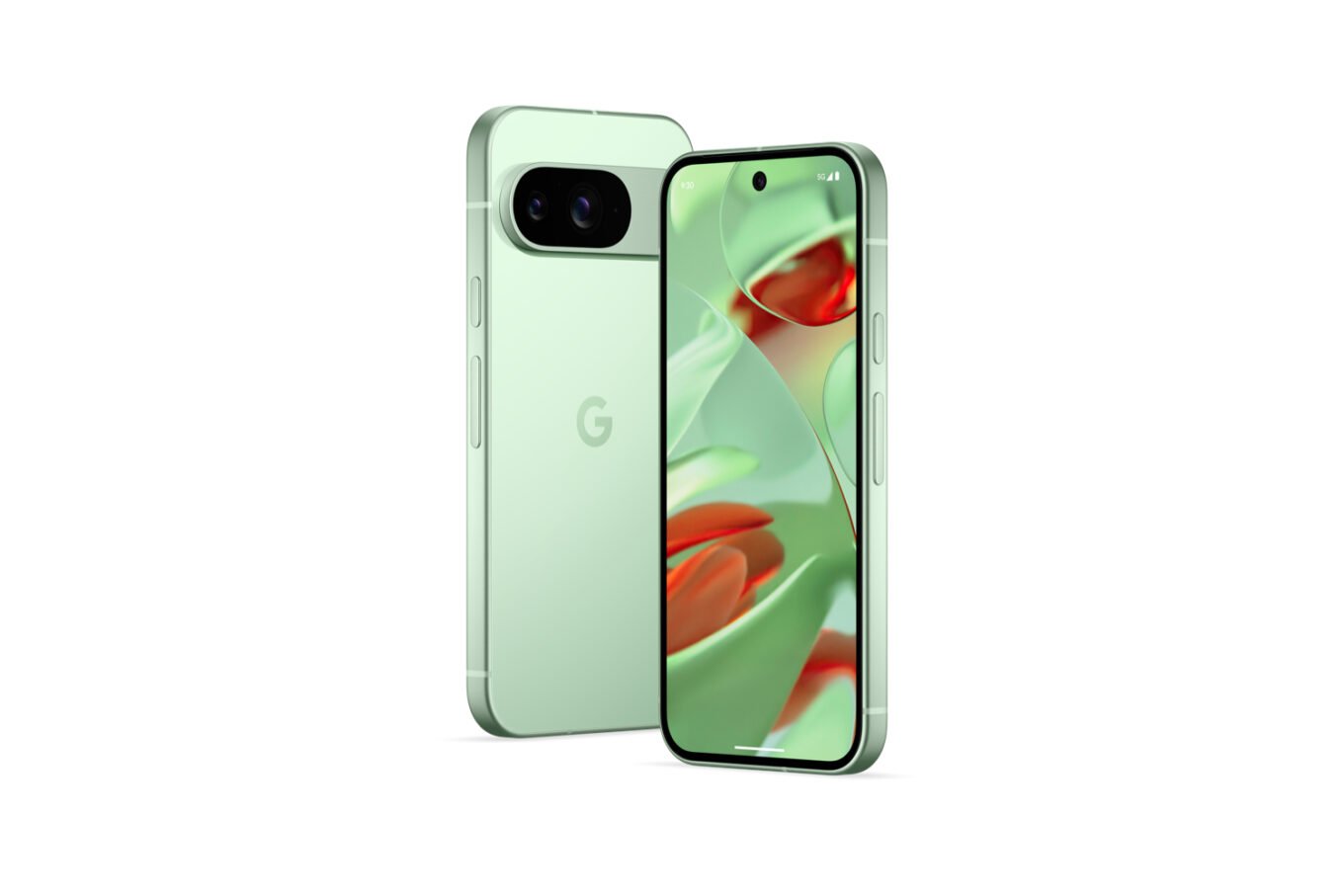 Google Pixel 9 Vert Wintergreen