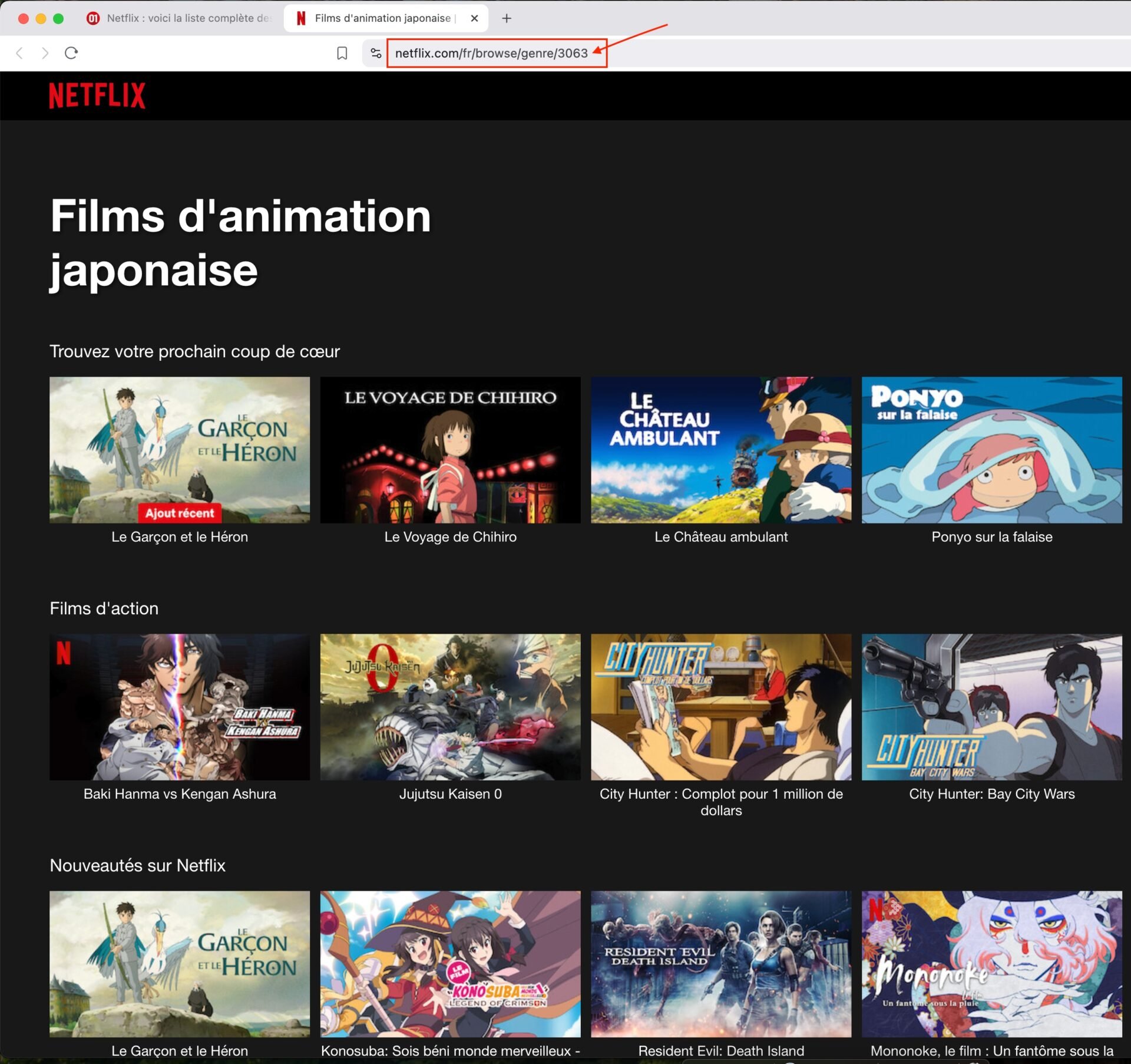 Code Secret Netflix Films Animation Japonaise