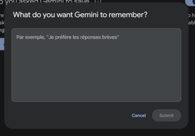 Gemini Sauvegarder Informations (3)