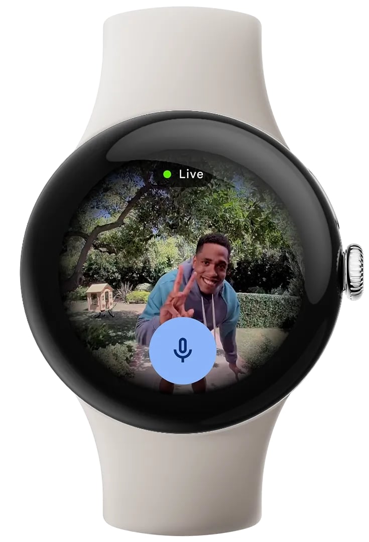 Google Pixel Watch