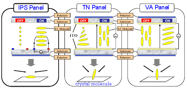 Tn Vs Ips Vs Va