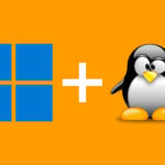 Windows + Linux