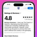 App Store Résumé Commentaires