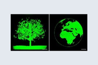 écran Led Microscopique 2