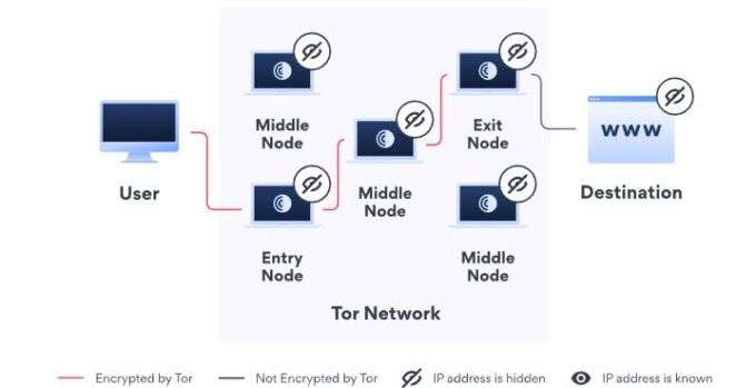 Tor Vs VPN: What Are The Differences? Which One Is Better?