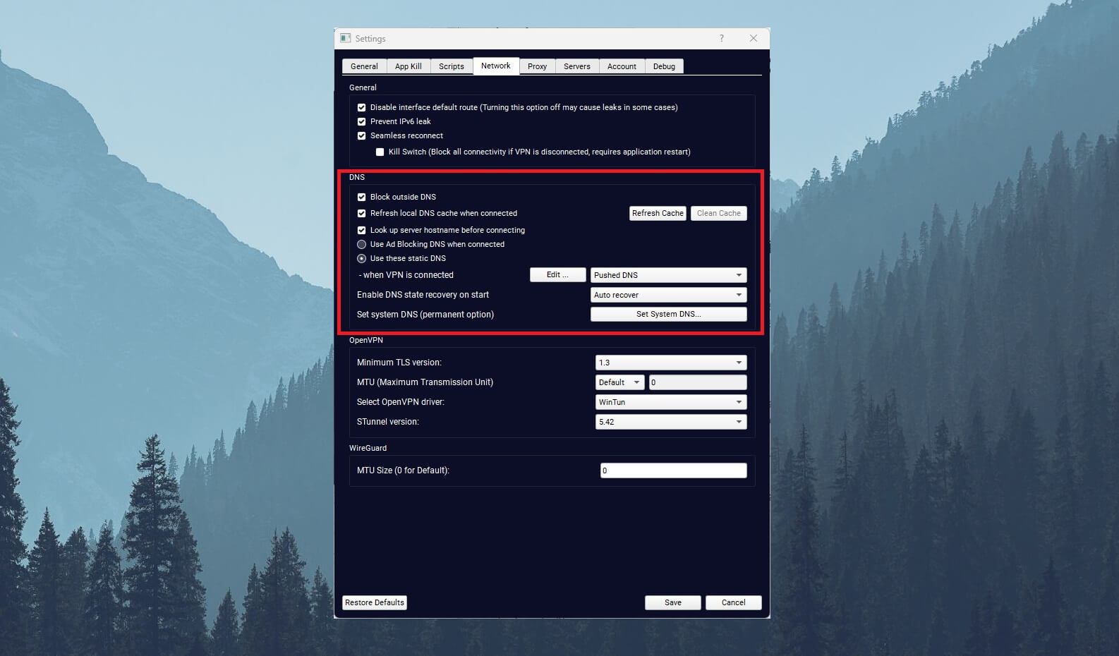 TorGuard DNS Options