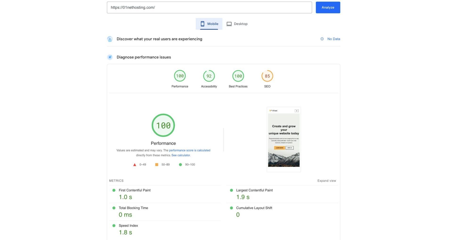 Namecheap Pagespeed Insights Mobile Test