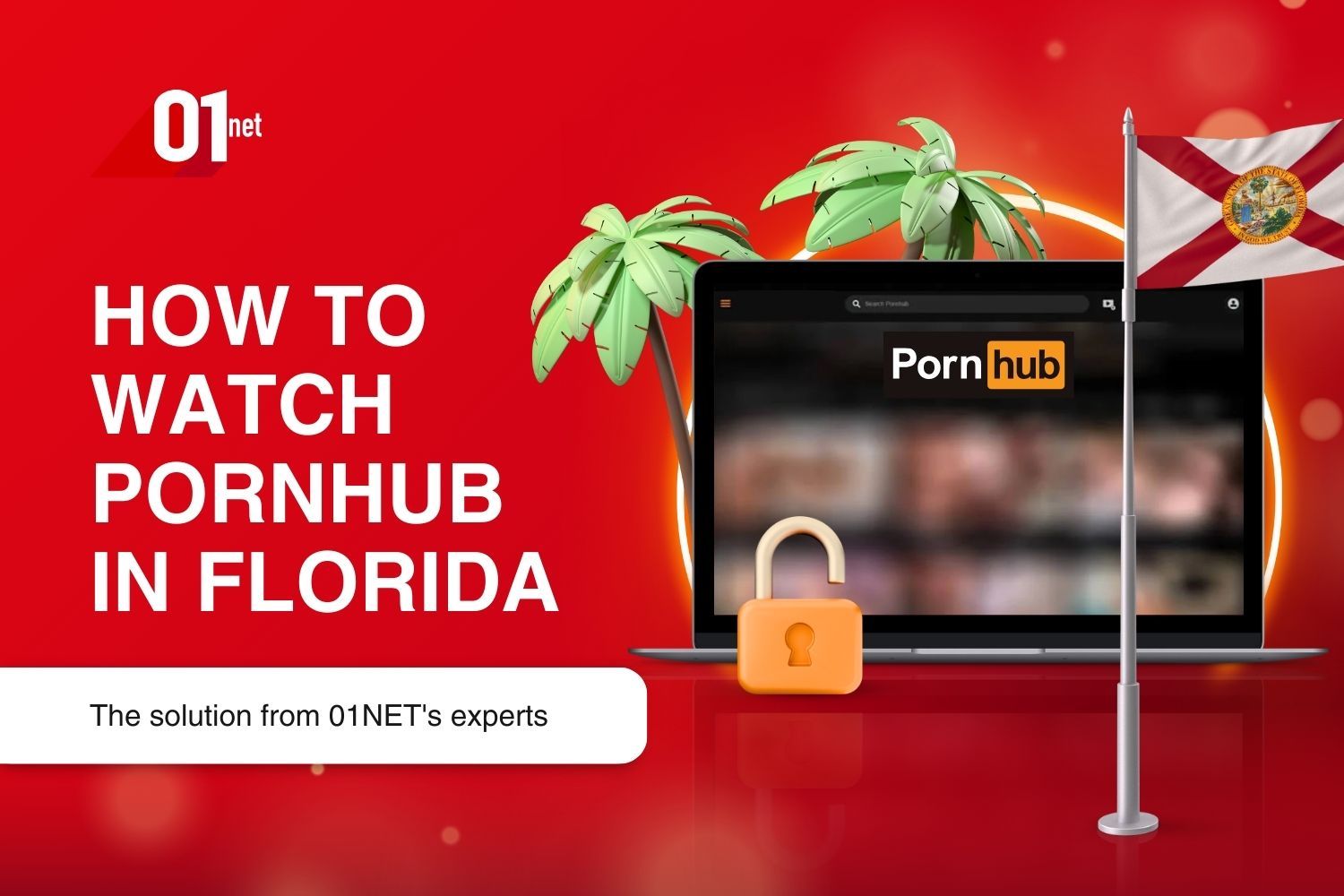 How To Watch Pornhub In Florida