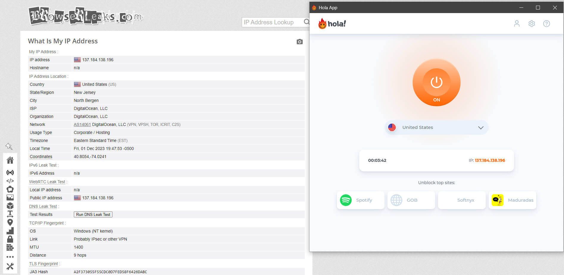 Test fuga de IP Hola VPN Browserleaks