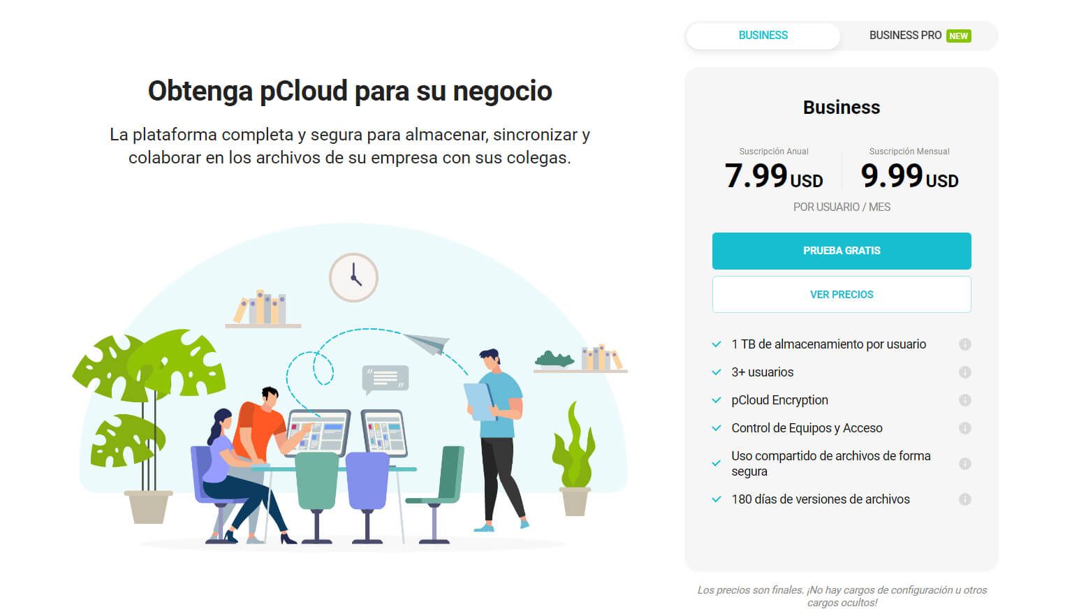 Plan Business Pcloud