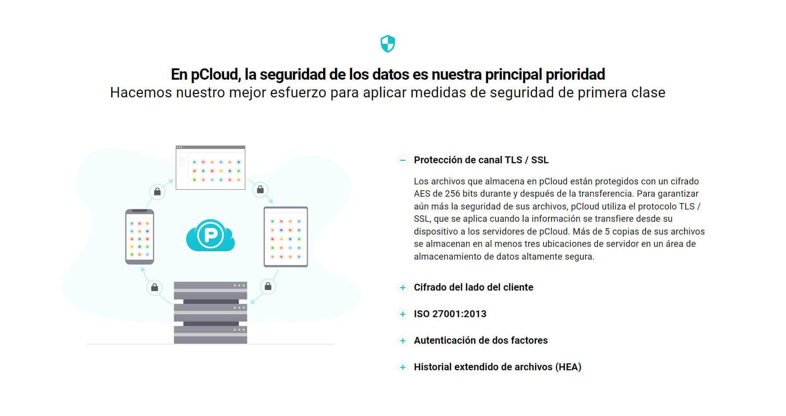 Pcloud Seguridad