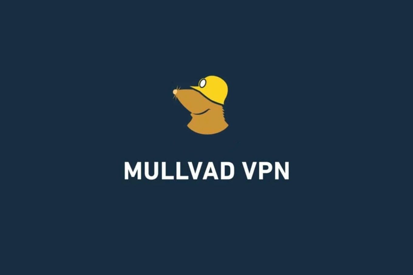 Opiniones De Mullvad Vpn Analisis