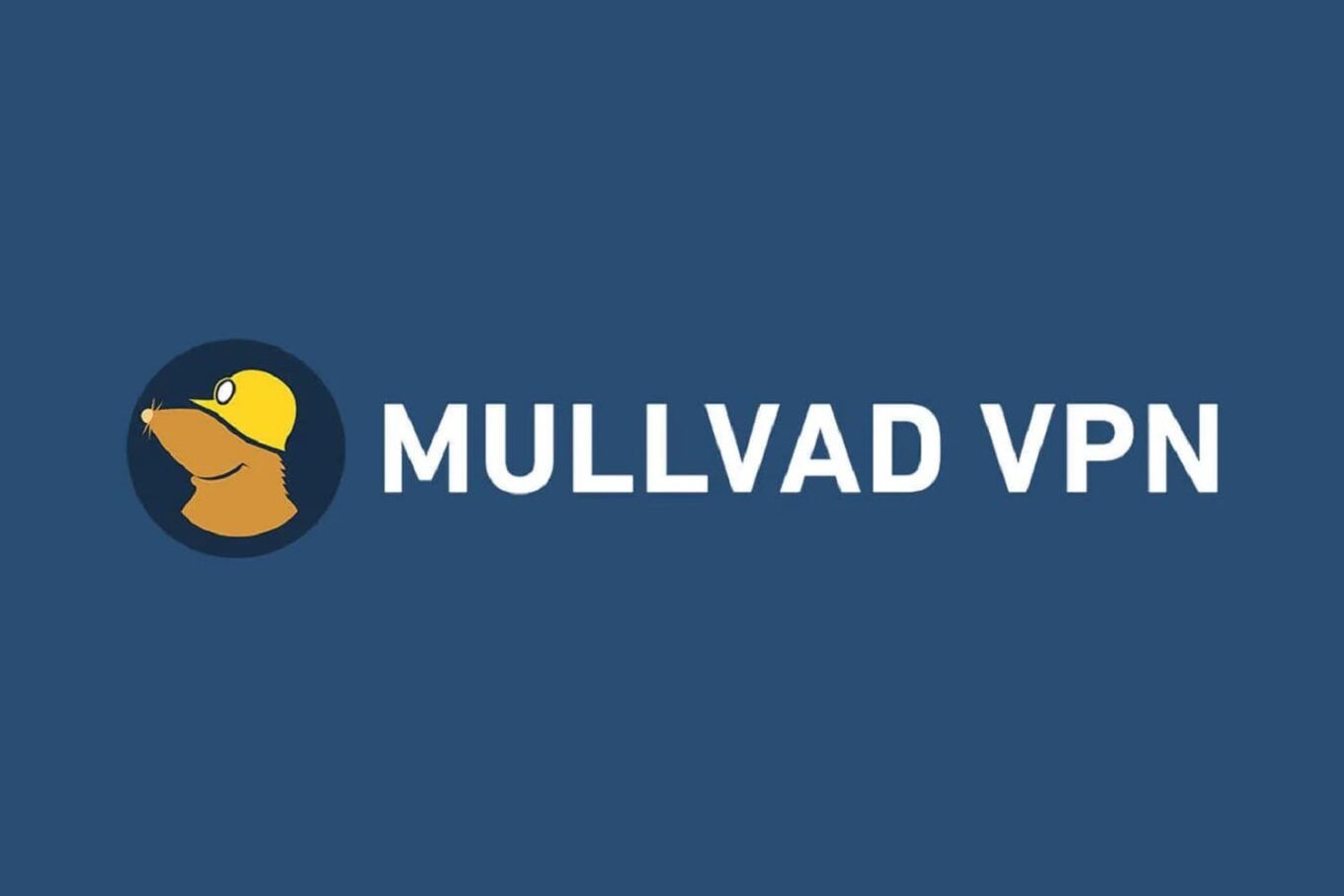 Mullvad Vpn Recensione