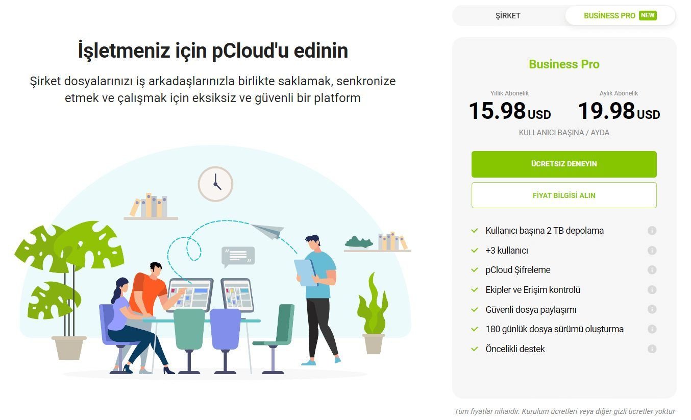 pCloud şirket Planı